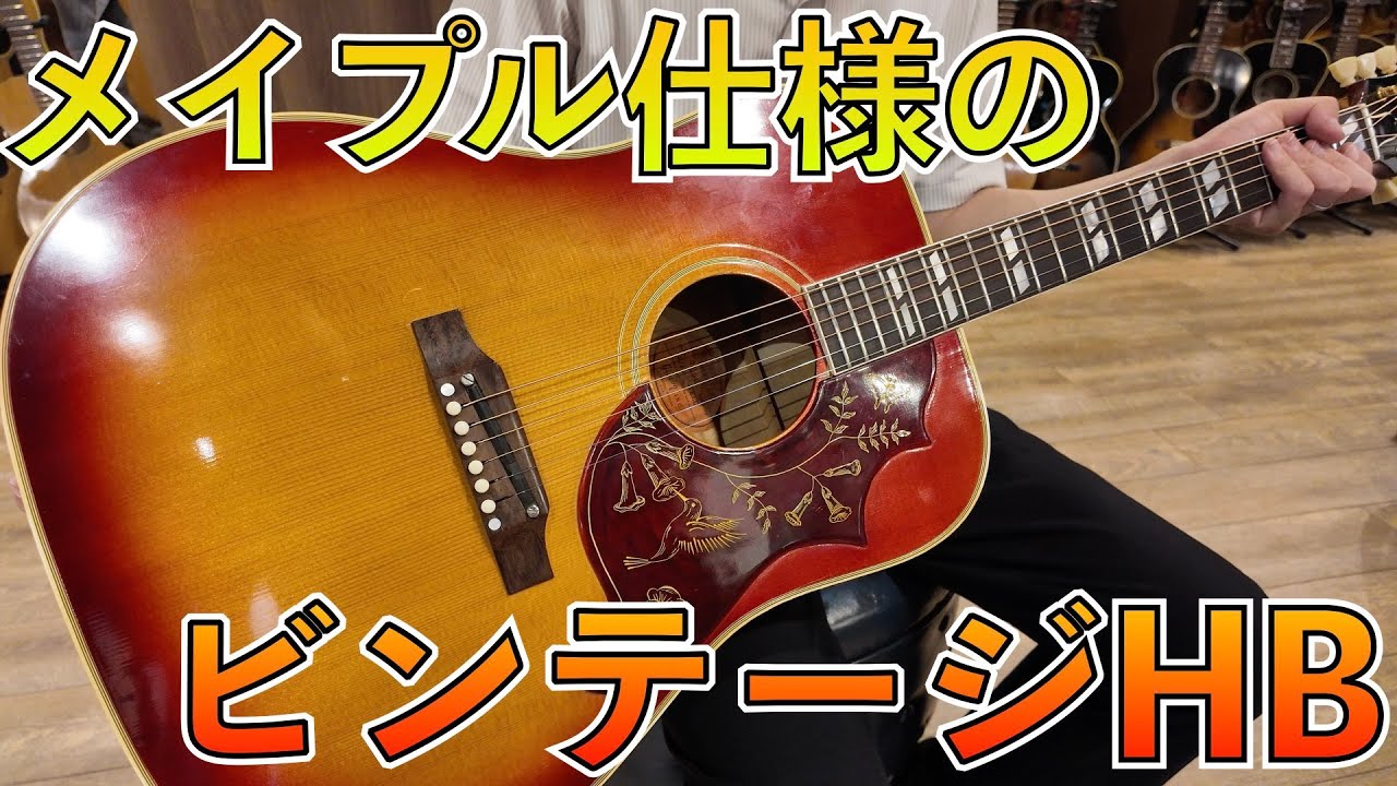ハミングバード 60年代当時の状況が垣間見えるレアスペックのハミングバード