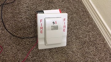 EST Genesis chime test