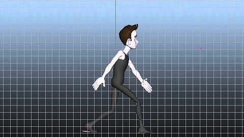 Multi-Angle CG Walk Cycle
