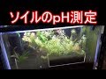 【水槽101】ソイルのｐH測定（お前らそこに並べ!）