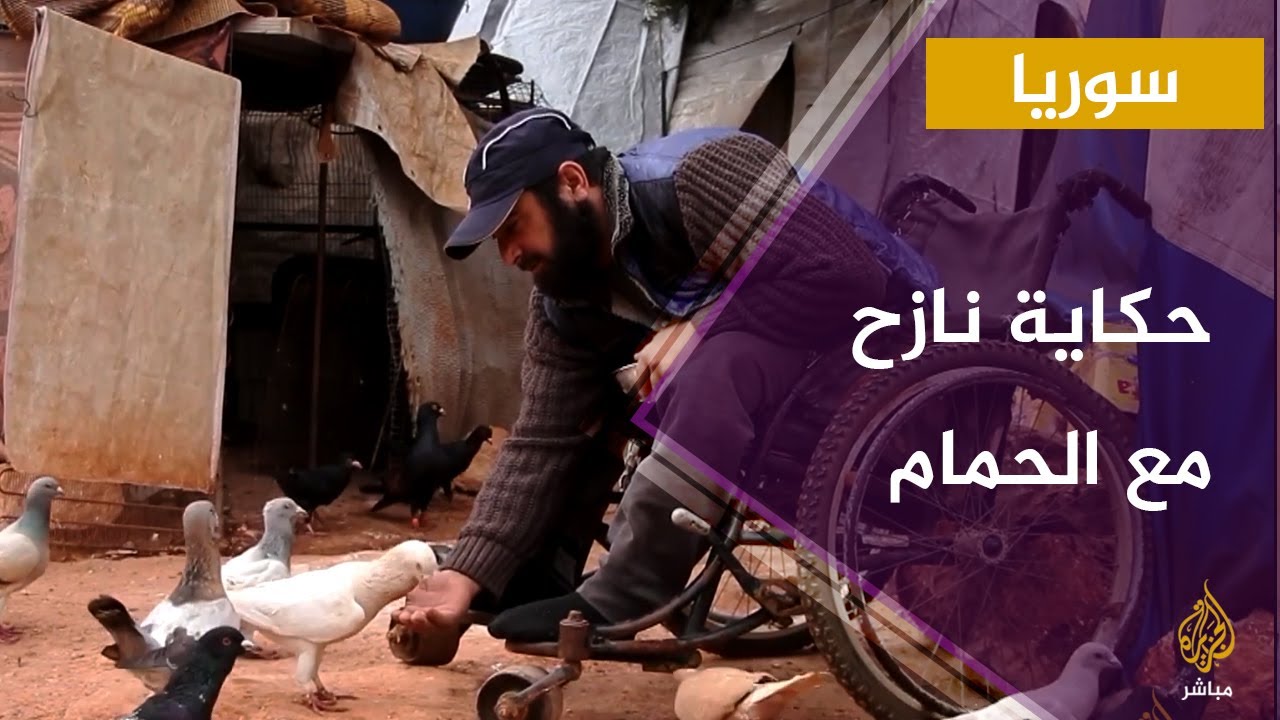 تبدلت حياته بعد إصابته بالشلل وتركته زوجته.. فكيف غيّرت تربية "الحمام" حياته؟