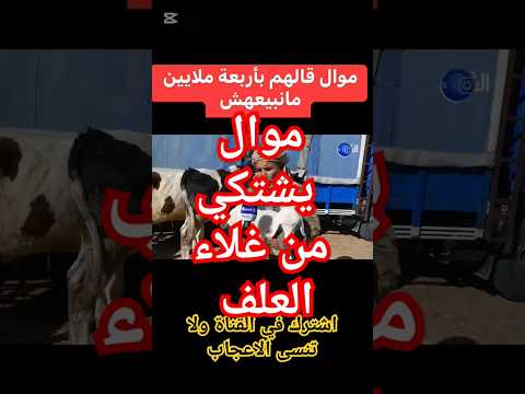 الراعي هاز خروفو كيما الطفل ويقولكم عطوني ربعة ملاين ولا نخليه يعيد معايا خروف العيد الراعي فايق