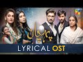 Pehchaan   lyrical ost    singer yashal shahid  raafay israr   hum tv