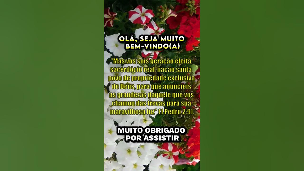 Vers culo Da B blia 1 Pedro 2 9 Gera o Eleita Sacerd cio Real vers-culo-da-b-blia-1-pedro-2-9-gera-o-eleita-sacerd-cio-real