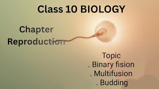 Class 10 - Biology - Chapter 14-Lecture 2-Binary fision Multi fision and Budding -Simple Concepts