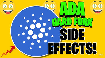 SIDE EFFECTS OF THE VASIL HARD FORK UPDATE DELAY! CARDANO ANALYSIS! Crypto News Hub