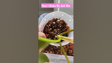 My Secret to the BEST Indoor Potting Soil! #shorts #plants #indoorplants