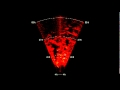 VideoRay ROV - BlueView P900-45 Sonar Imaging Greenland Shark