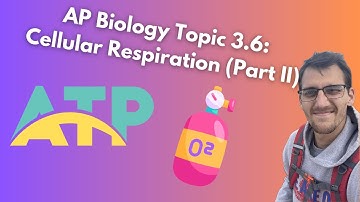 (2019 curriculum) 3.6 Cellular Respiration (Part II) - AP Biology