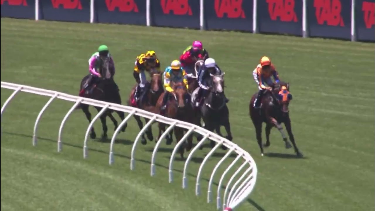 STROMlINIEN | 2YO SW+P 2 WEEKS BEFORE KARAKA MILLION