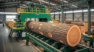 Inside the Largest Wood Sawmill Factory – How Giant Logs Becomes Premium Furniture (Full Process)