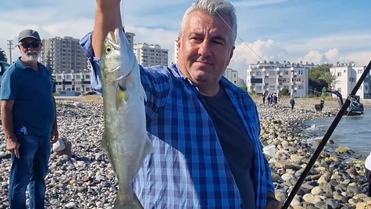 TAM HIZ LÜFER AVI DEVAM BALIK  AVI  MERSİN