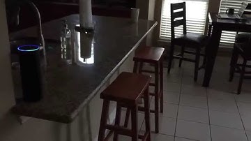 Amazon Echo + Smartthings + Nest + Sonos + Walking the dogs?