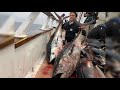 Catching MONSTER Bluefin Tuna in San Diego (Nonstop Action) Pt.1