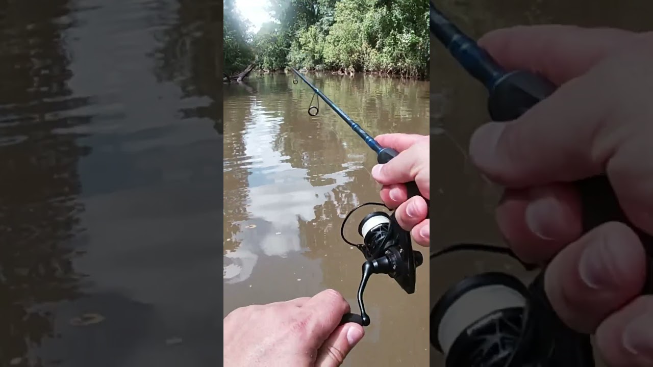 Light Action Creek Fishing 
