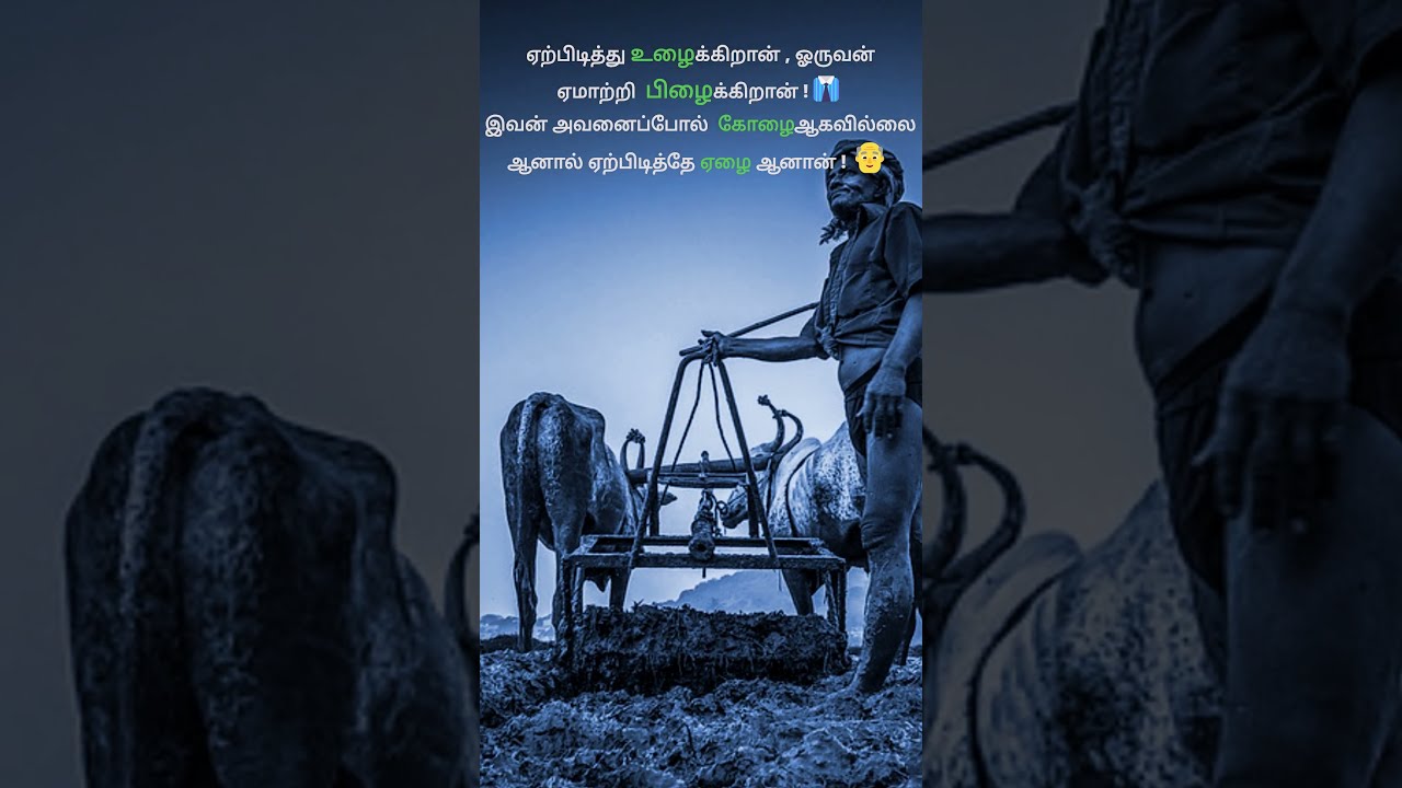 SupportFarmers    kavithaigal  tamilkavithai  kavi  kavithai  farmer   vivasayam  vivasayi  tamil
