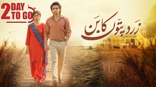 Zard Patton Ka Bunn | Release Date | Sajal Ali | Hamza Sohail | New Drama Serial Pakistani