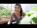 An inspired gardener is a motivated gardener  | VLOG