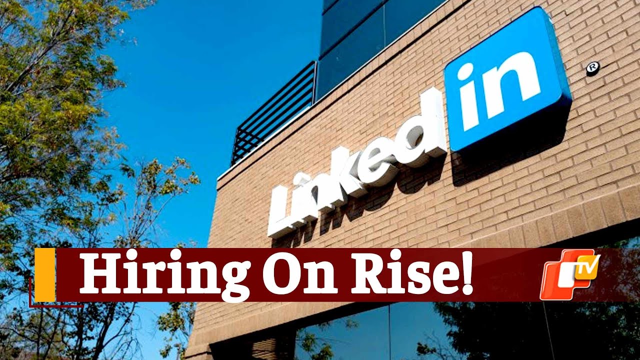 Hiring In IT, Manufacturing, Hardware Lead Job Market Recovery | OTV News