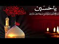 نوجه افغاني در خرابه گلچينان يك سبد گل آوردند علي رضا كاظمي ٢٠١٧ نوجه افغاني در خرابه گلچينان يك سبد گل آوردند علي رضا كاظمي ٢٠١٧