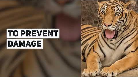 STOP Error 0x000000D1