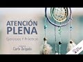 Meditación De Para Estar PRESENTE: Aquí Y Ahora | Mindfulness & Atención Plena