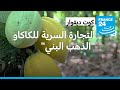 الذهب البني التجارة السرية للكاكاو في كوت ديفوار الذهب البني التجارة السرية للكاكاو في كوت ديفوار