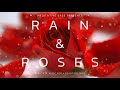 Rain and Roses | Beautiful Music with Rain for a Beautiful Mind | A Meditative Ease Production