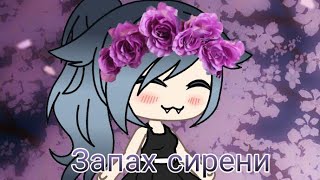 ~|Запах сирени||meme||Gacha Life на русском|~