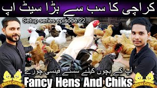 Chiks corner the name of quality fancy hens and chiks | Cheap price chicks | Lalukhet birds market by A 4 ali shah 971 views 3 days ago 26 minutes