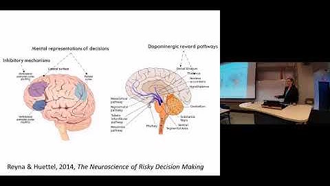 2016-06-21 - Valerie Reyna  - A Fuzzy Trace Theory of Risky Decision Making