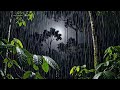 🔴 Live 🌿 Deep Rain Forest Ambience For Sleep Relaxation And Letting Go Of Anxiety Before Bedtime