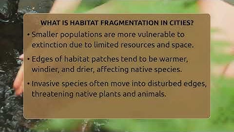 What Is Habitat Fragmentation In Cities? - Ecosystem Essentials