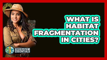 What Is Habitat Fragmentation In Cities? - Ecosystem Essentials