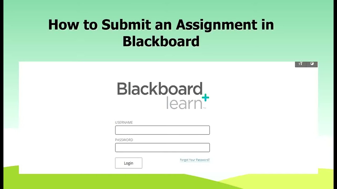 submitting an assignment in blackboard