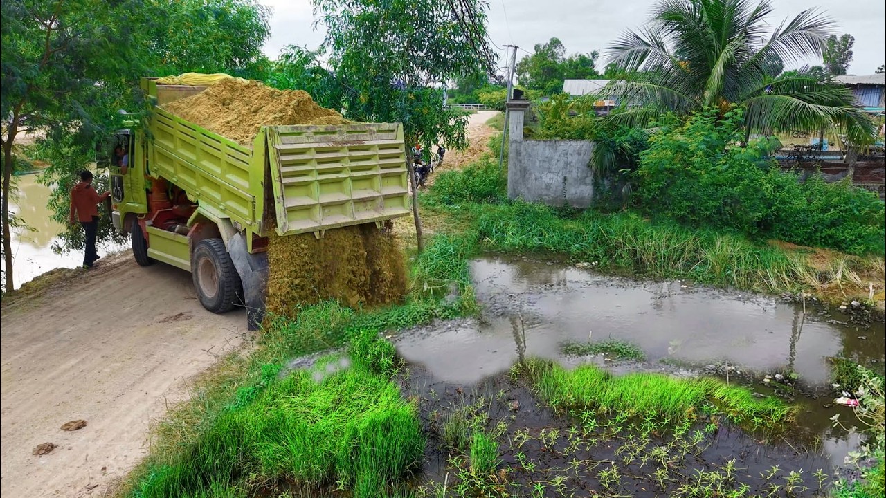 Be Wacthful Started New  Project!Dump Truck Pouring Land Delete Field Expert Dozer D20P Pushing Soil