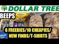 1/20/2021 DOLLAR TREE COUPONING HAUL |  6 FREEBIES | 10 CHEAPIES |  NEW FINDS |T-SHIRTS.