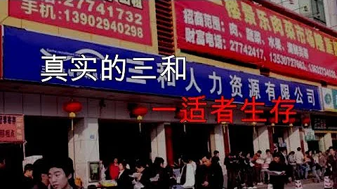 感動故事之三和大神的真實生活，從來都是適者生存 - 天天要聞