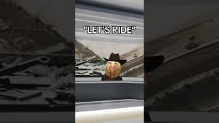 LET’S RIDE! #theburntpeanut #bungulator #theburntpeanutclips