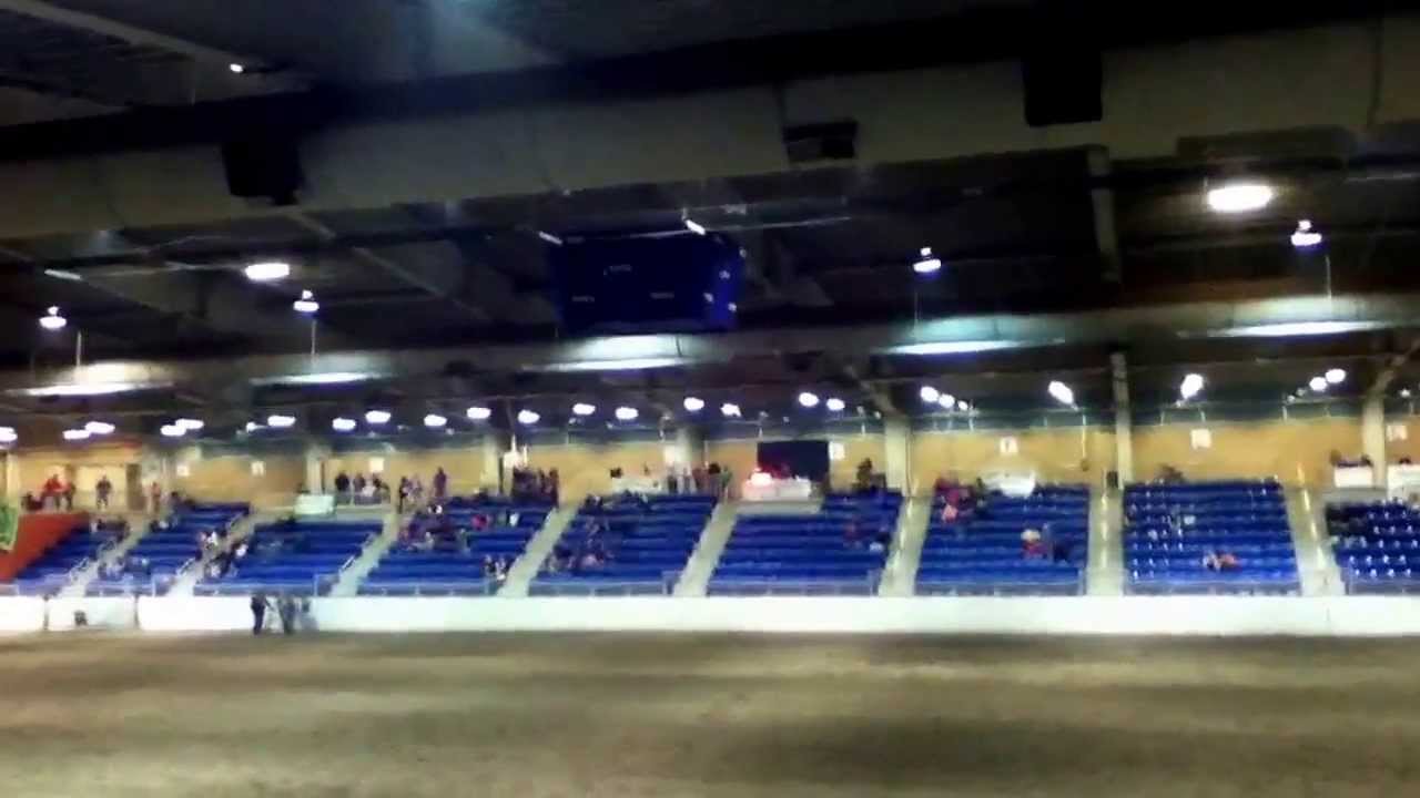 PA State 4H horse show Keyhole YouTube