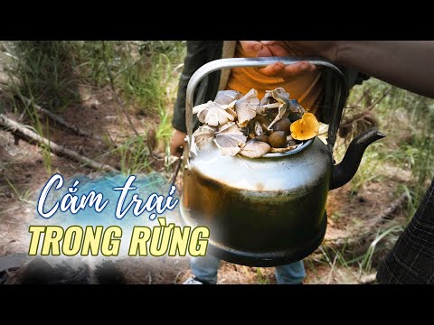 Du lịch Đà Lạt, săn nấm rừng, cắm trại đêm |Du lịch Việt Nam