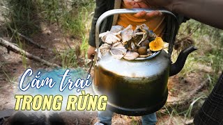 Forest mushroom hunting, night campingn |Săn nấm rừng, cắm trại đêm ở Đà Lạt