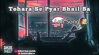 Tohara 😊Se Pyar Bhail 🥀Ba Bhojpuri 💕Song 💐 Lofi Song