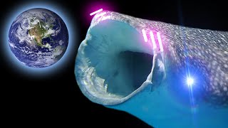 I Created a Binary System with GIANT Whales - Universe Sandbox 2