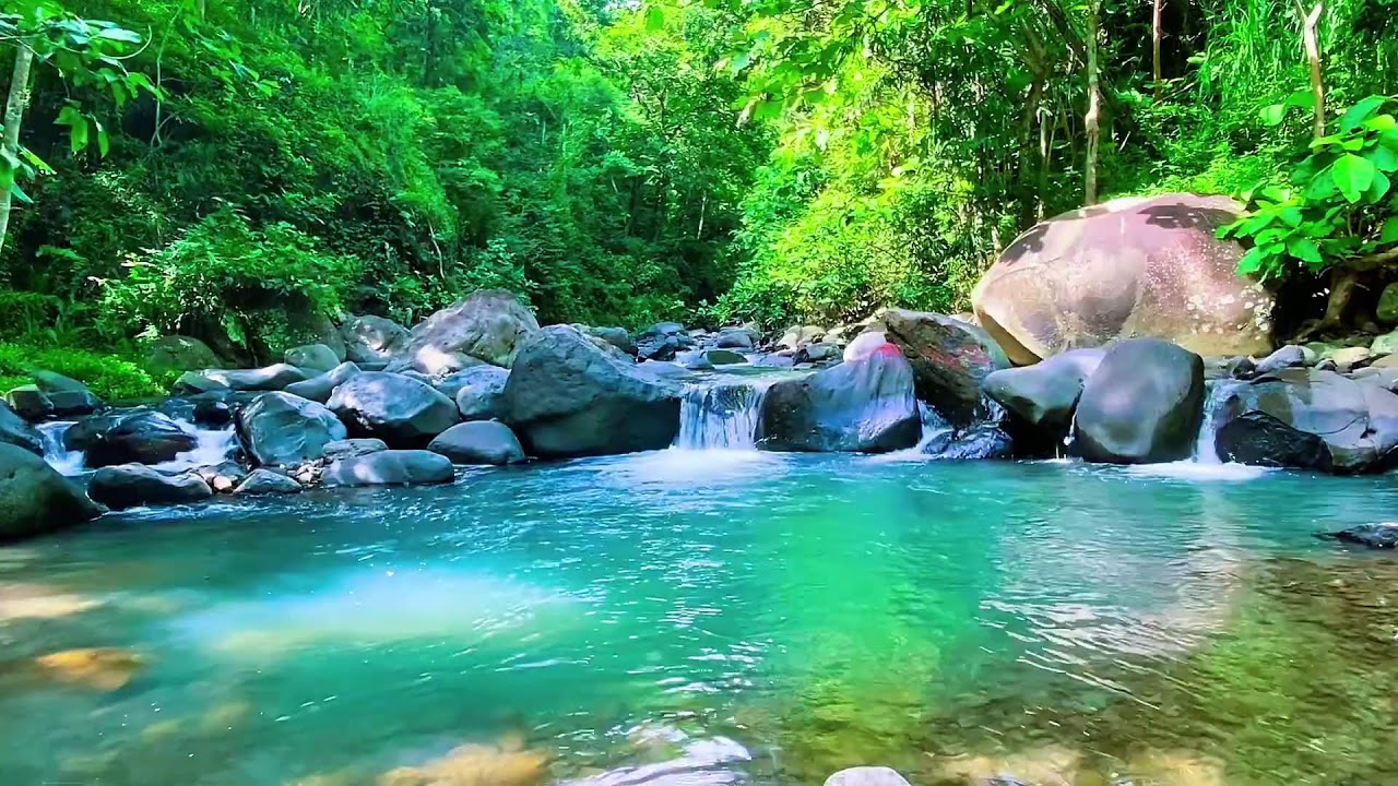 Mountain Water Stream Calm Flow, Forest River Sounds, Sleeping