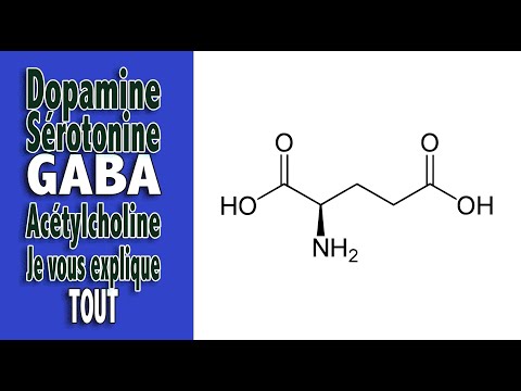 Dopamine, sérotonine, GABA , Acétylcholine : je vous explique tout ! (séminaire)