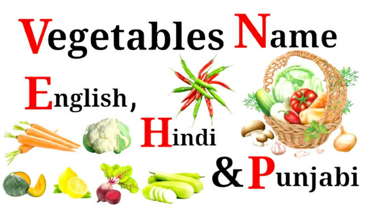 Vegetables Name in English, Hindi and Punjabi सब्जियों के नाम Learn
