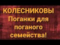 Семья Колесниковых/Новости из Дворца.