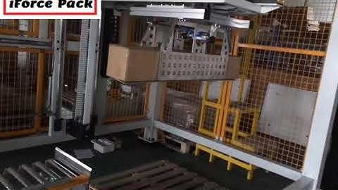 XYZ type robot type long carton box palletizing machine auto palletizer equipment