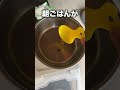 愛犬コロちゃんに関する面白い雑学#shorts